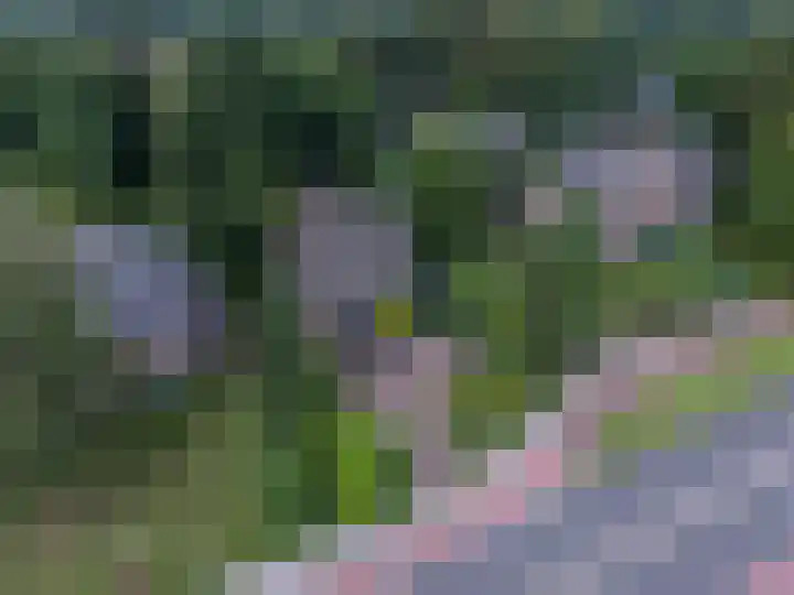 Zutphensestraatweg 14 a Velp thumbnail 4