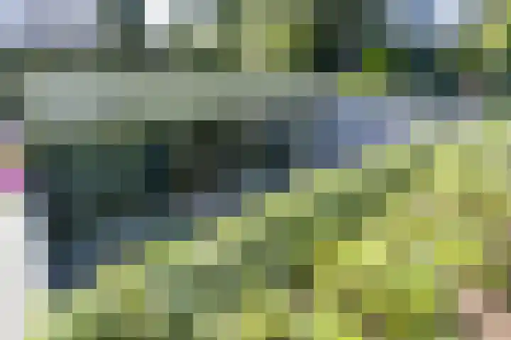 Zutphensestraatweg 14 a Velp thumbnail 43