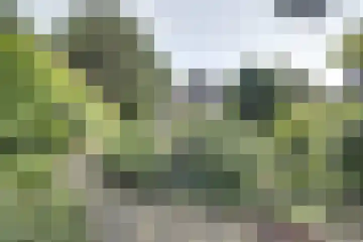 Zutphensestraatweg 14 a Velp thumbnail 57