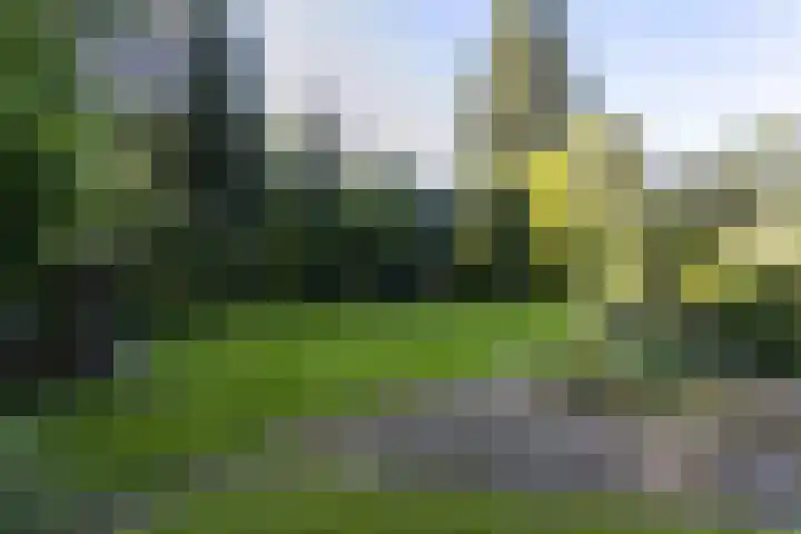 Zutphensestraatweg 14 a Velp thumbnail 61