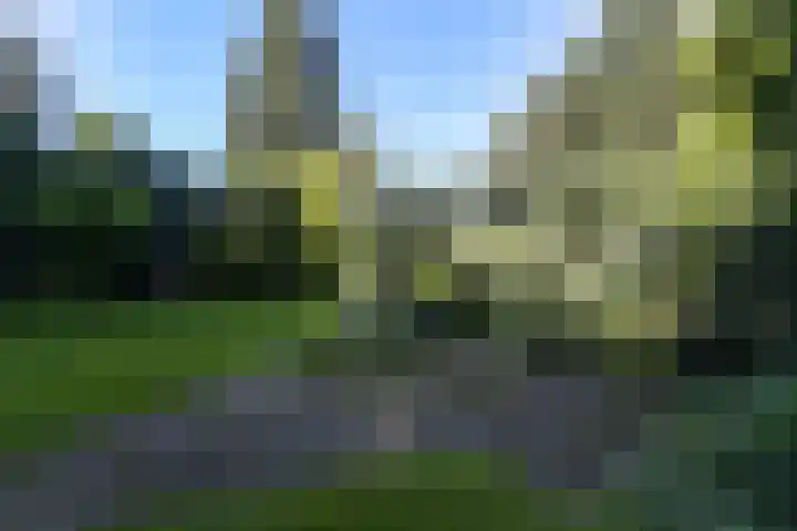 Zutphensestraatweg 14 a Velp thumbnail 63