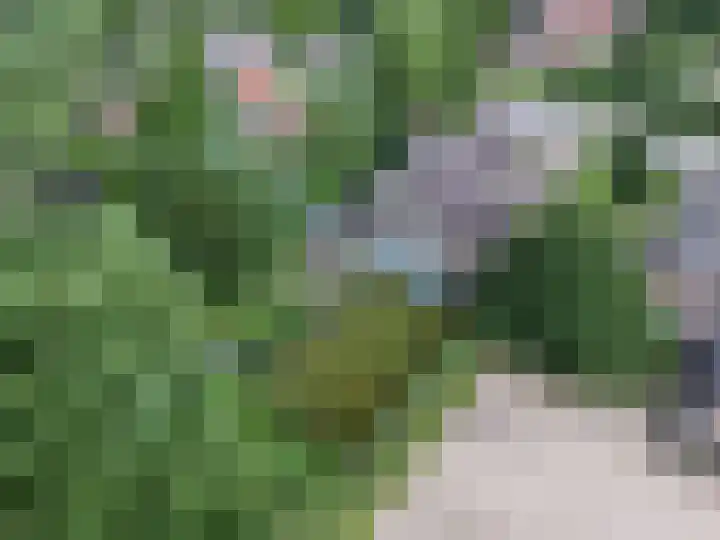 Zutphensestraatweg 14 a Velp thumbnail 65