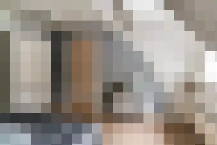 Zutphensestraatweg 15 a Ellecom thumbnail 38
