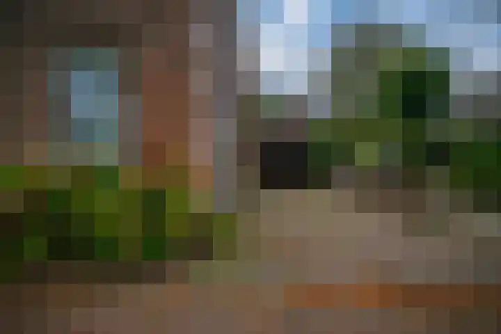 Zutphensestraatweg 15 a Ellecom thumbnail 5