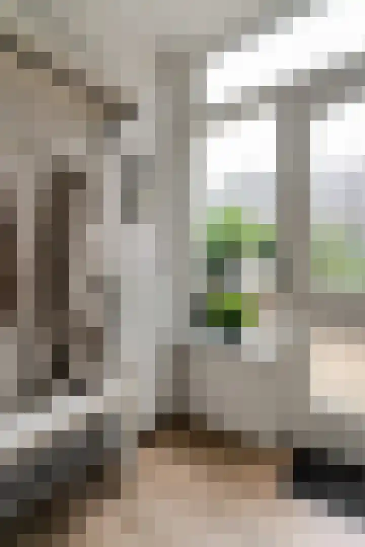 Zutphensestraatweg 15 a Ellecom thumbnail 7