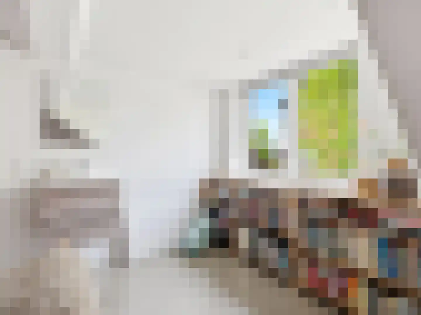 Zutphensestraatweg 16 Dieren thumbnail 32