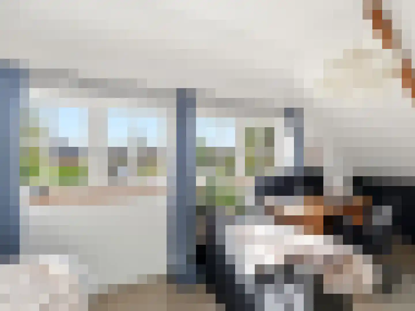 Zutphensestraatweg 16 Dieren thumbnail 37