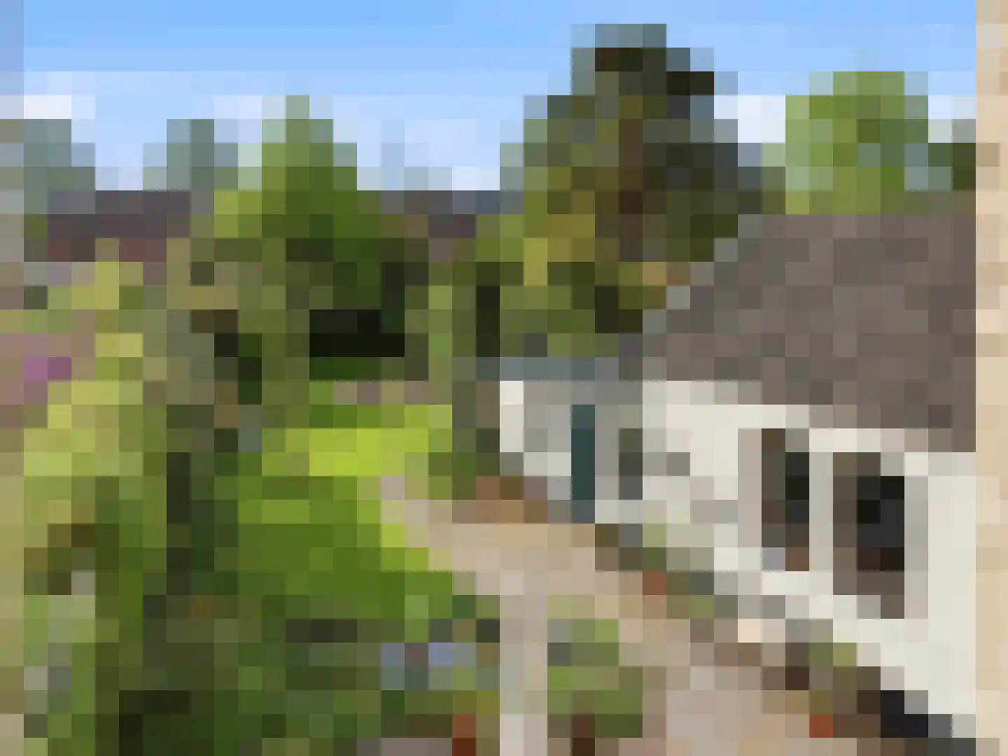 Zutphensestraatweg 16 Dieren thumbnail 38