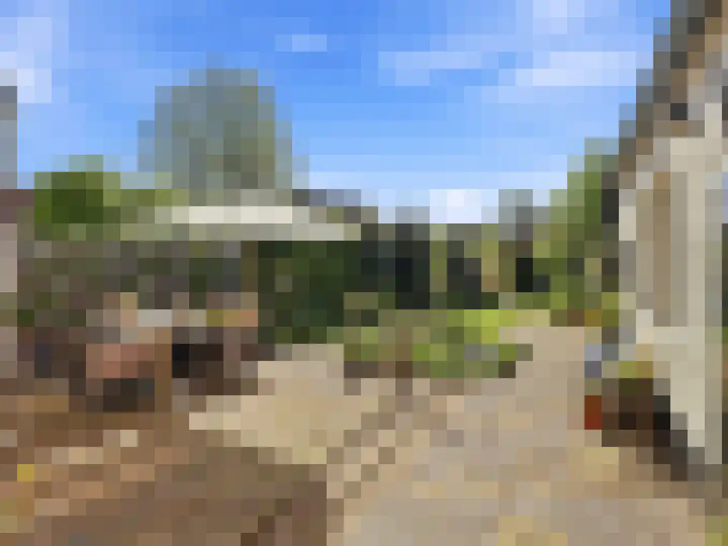 Zutphensestraatweg 16 Dieren thumbnail 40