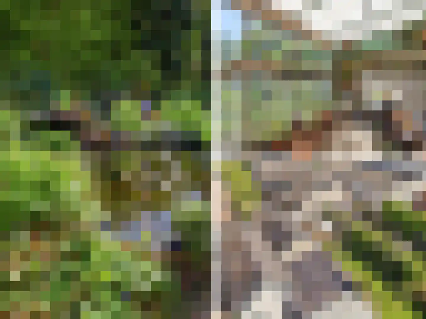 Zutphensestraatweg 16 Dieren thumbnail 43