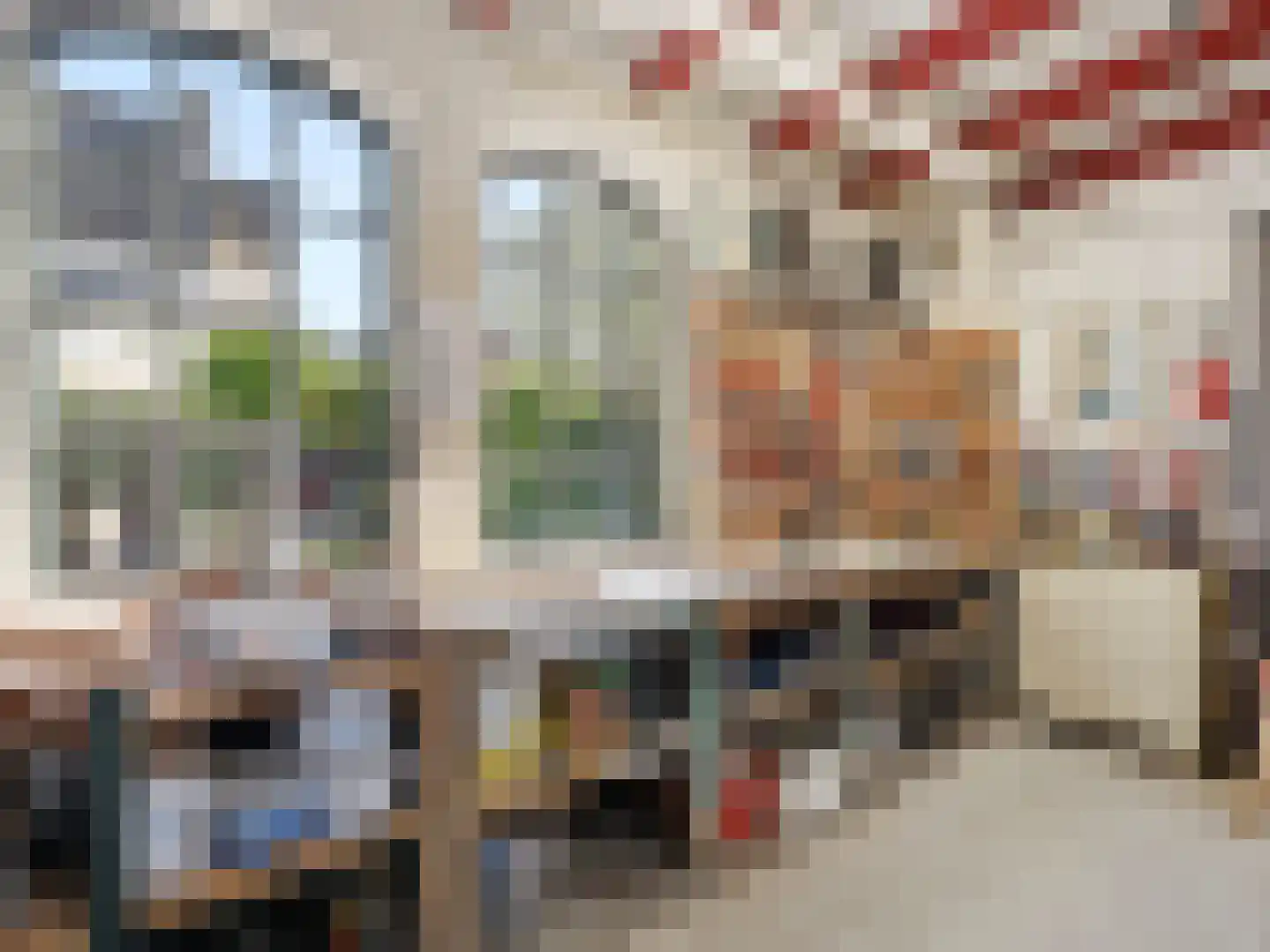 Zutphensestraatweg 16 Dieren thumbnail 45