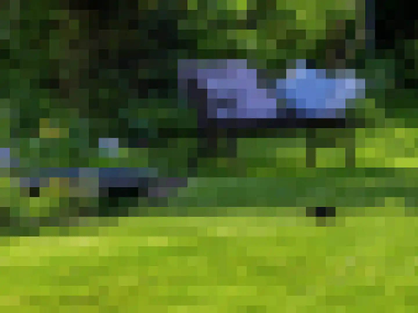 Zutphensestraatweg 16 Dieren thumbnail 47