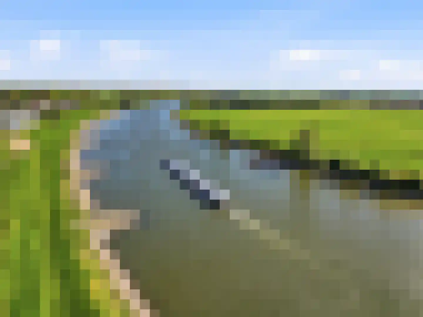 Zutphensestraatweg 16 Dieren thumbnail 55