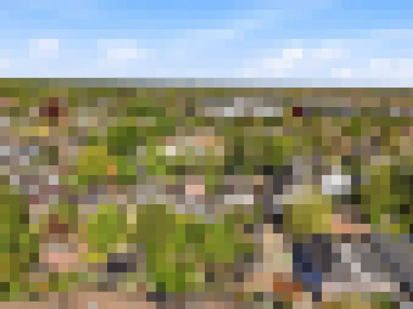 Zutphensestraatweg 16 Dieren thumbnail 56