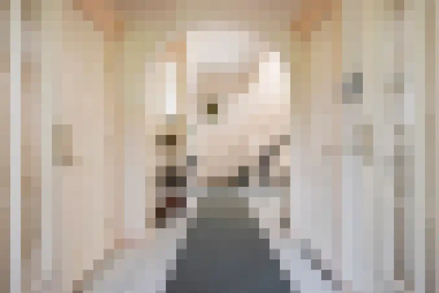 Zutphensestraatweg 17 Velp thumbnail 14