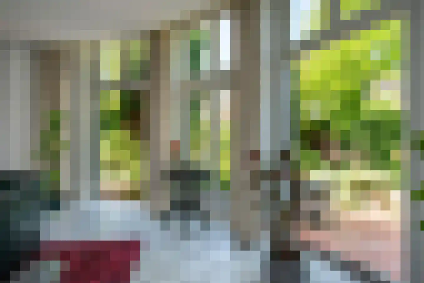 Zutphensestraatweg 17 Velp thumbnail 20
