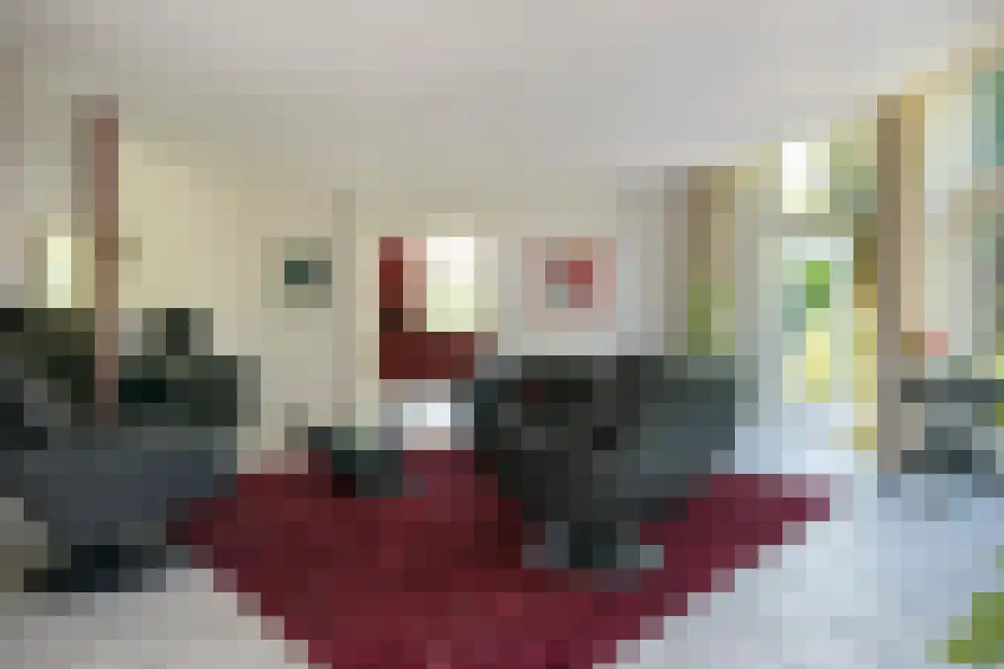 Zutphensestraatweg 17 Velp thumbnail 22