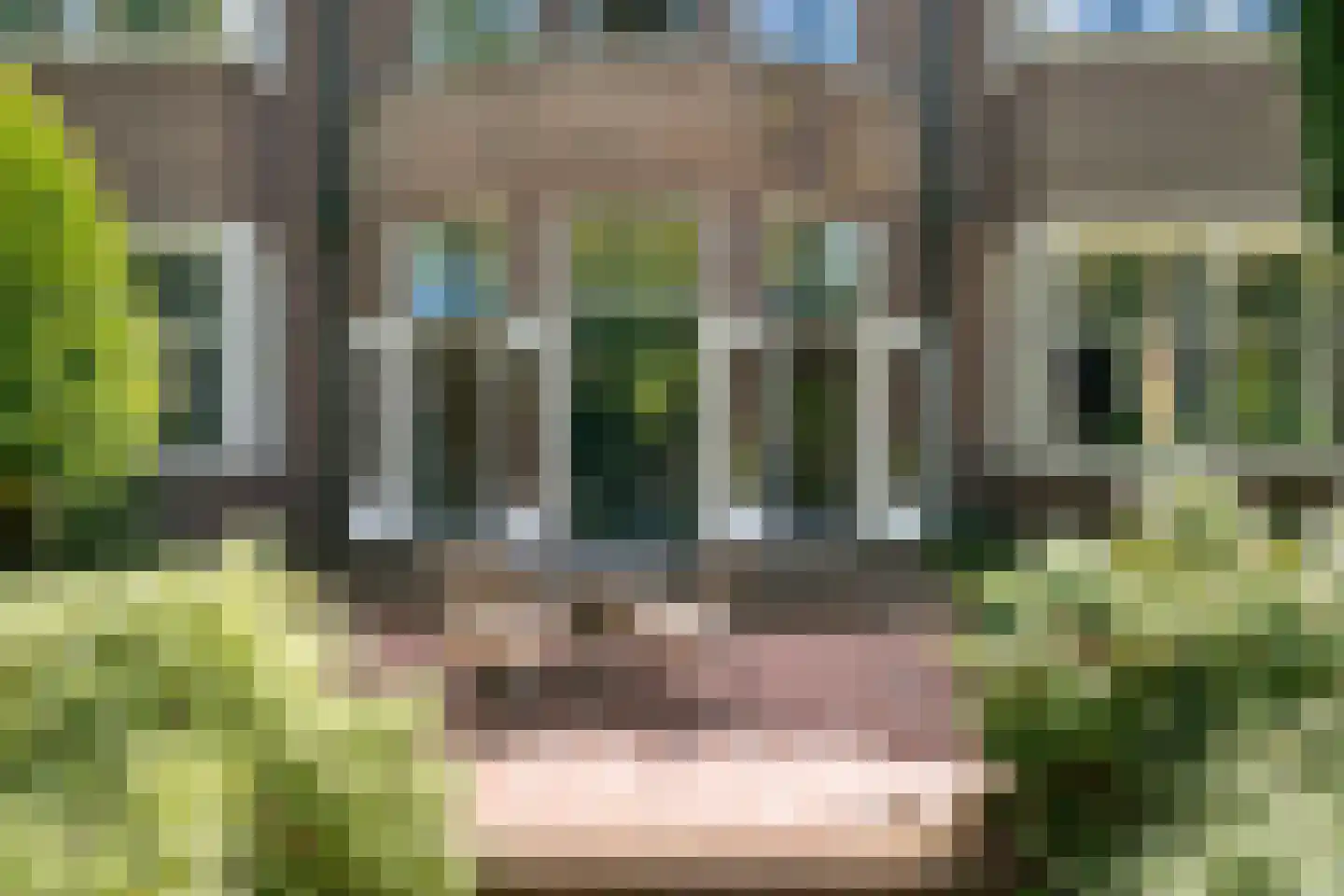 Zutphensestraatweg 17 Velp thumbnail 24