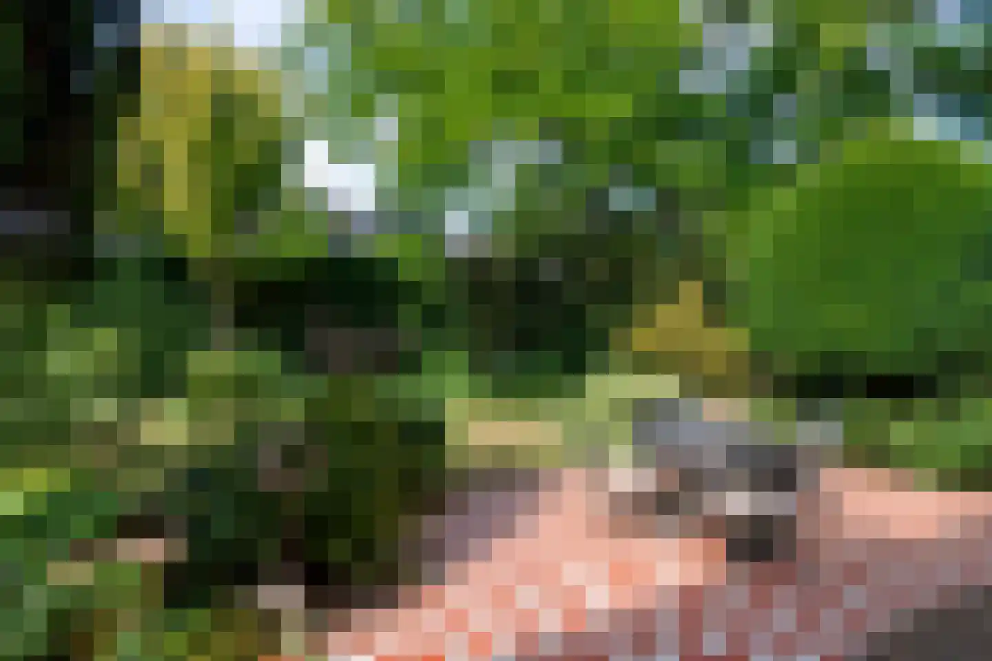 Zutphensestraatweg 17 Velp thumbnail 28