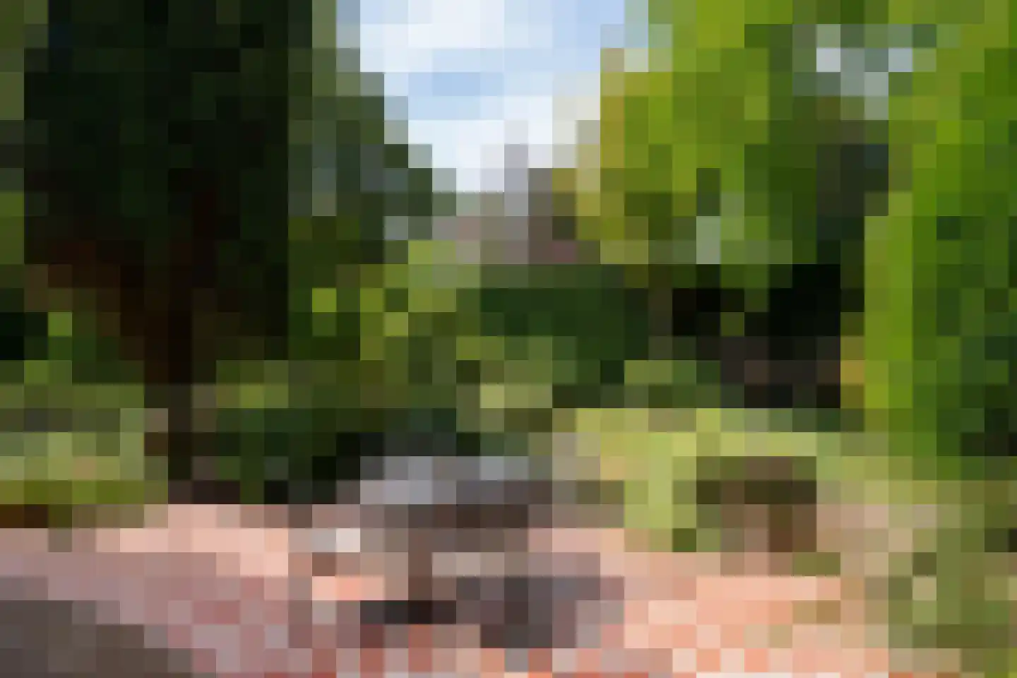 Zutphensestraatweg 17 Velp thumbnail 29