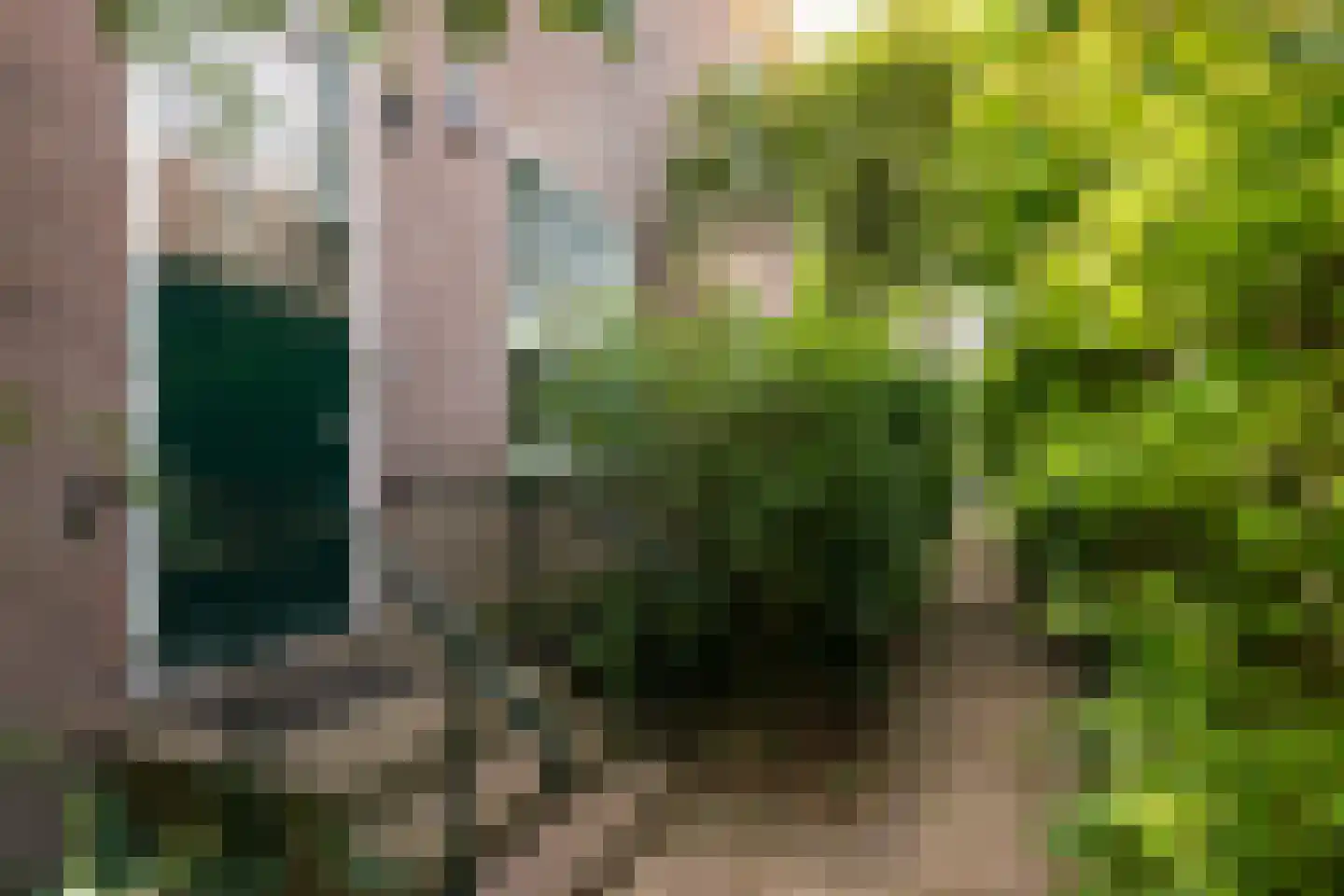 Zutphensestraatweg 17 Velp thumbnail 30