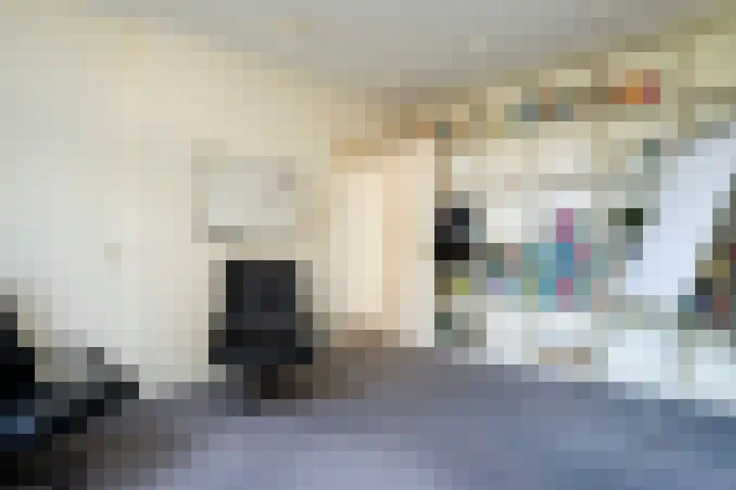 Zutphensestraatweg 17 Velp thumbnail 34