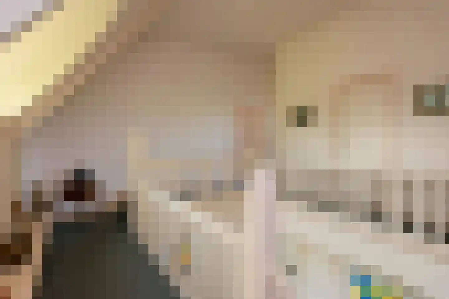 Zutphensestraatweg 17 Velp thumbnail 55