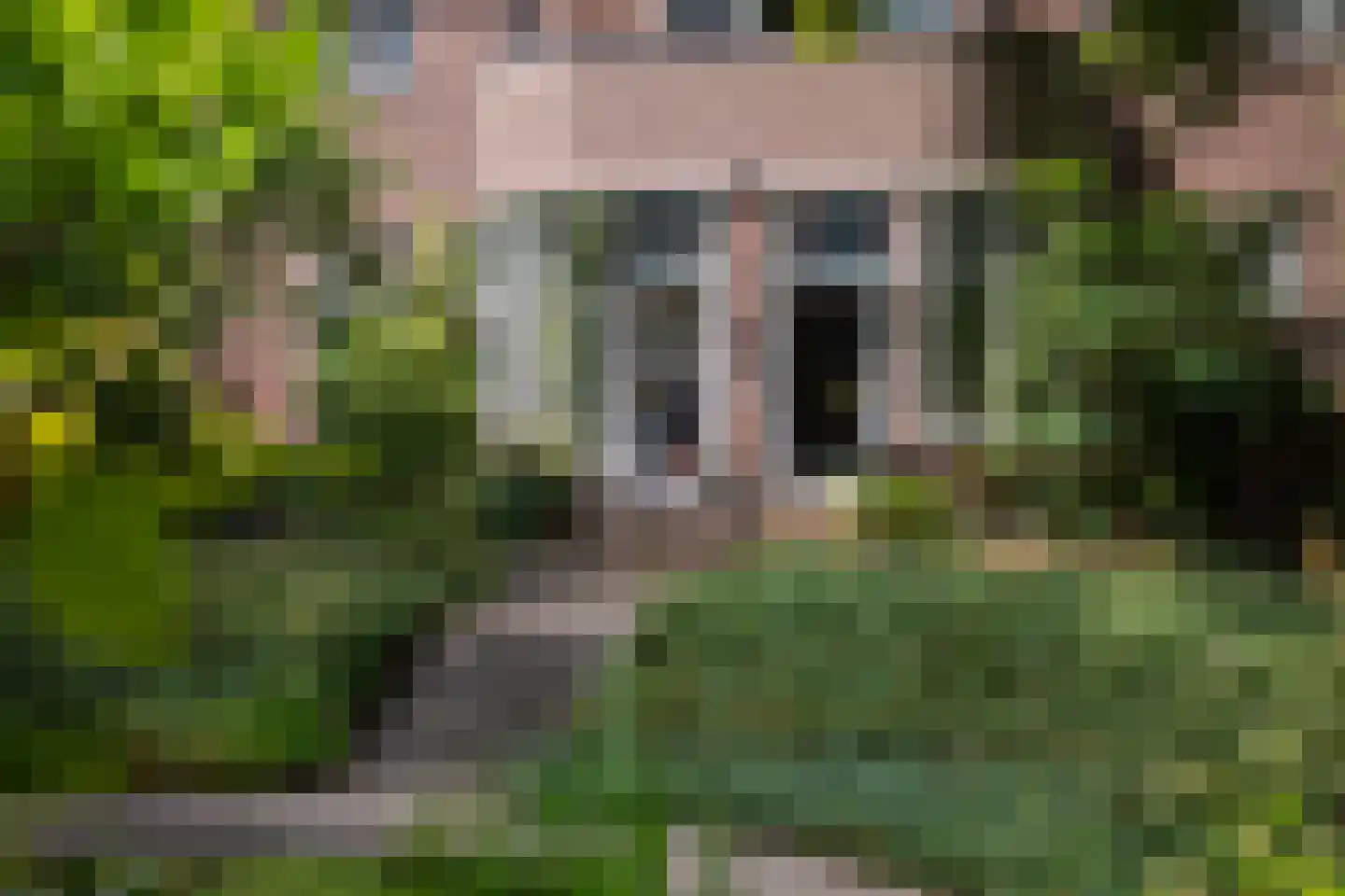 Zutphensestraatweg 17 Velp thumbnail 65