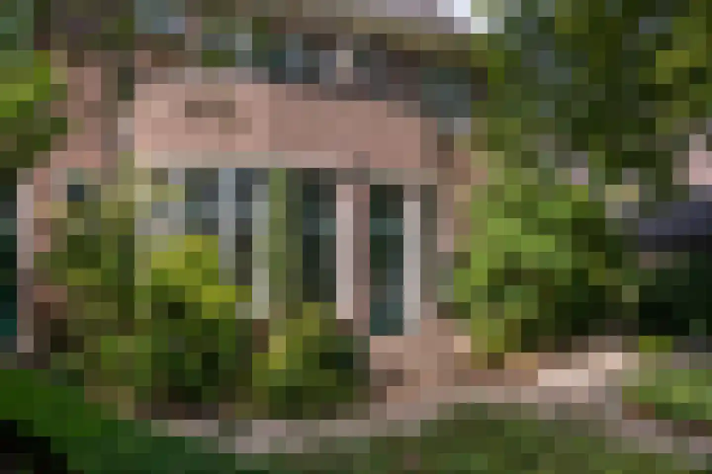 Zutphensestraatweg 17 Velp thumbnail 66