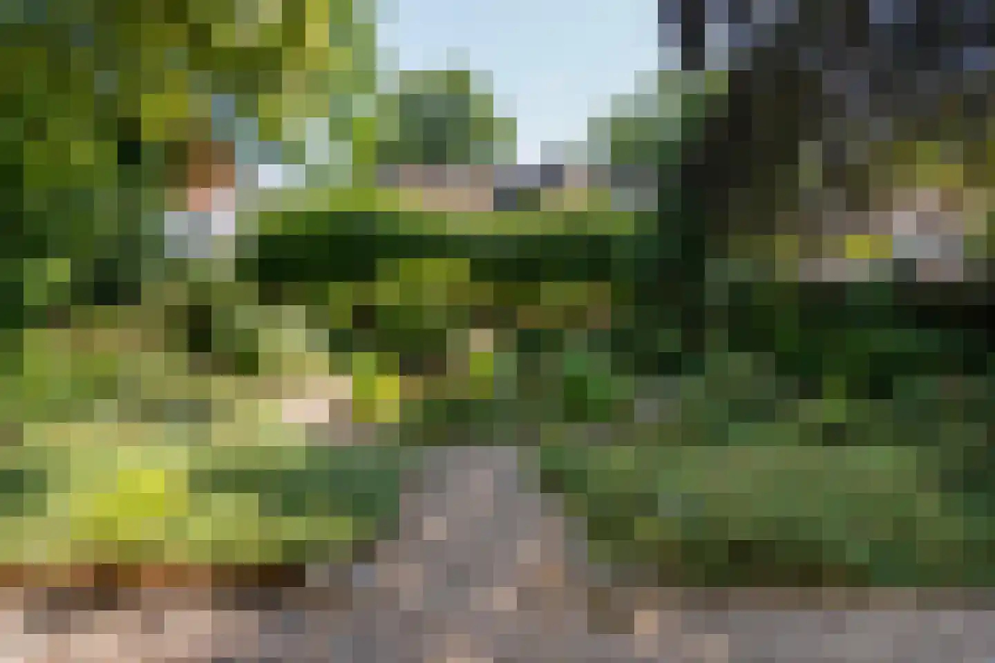 Zutphensestraatweg 17 Velp thumbnail 67