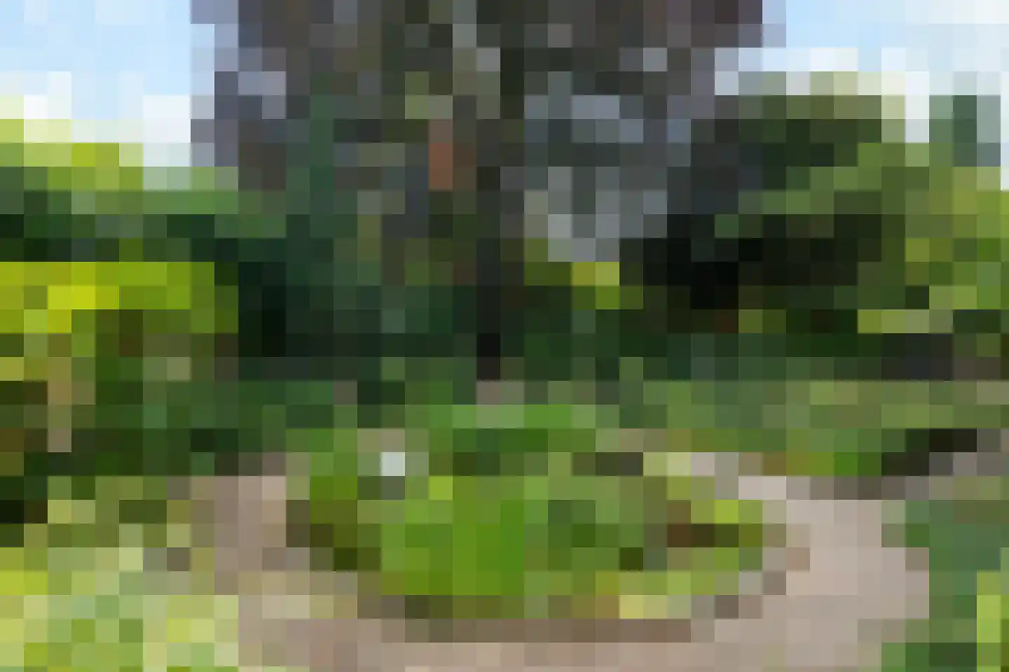 Zutphensestraatweg 17 Velp thumbnail 68