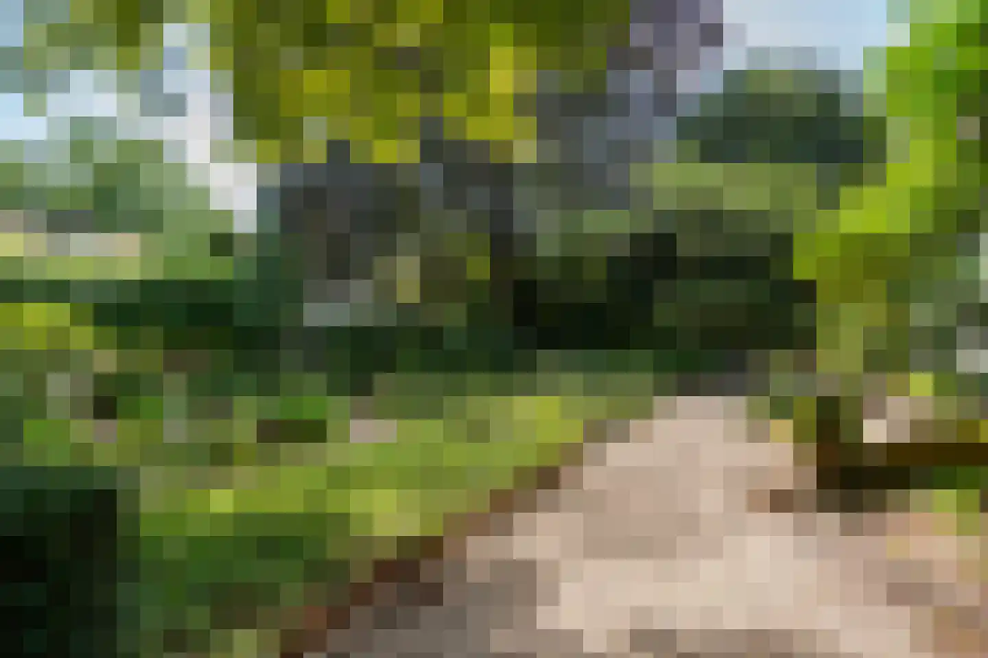 Zutphensestraatweg 17 Velp thumbnail 69