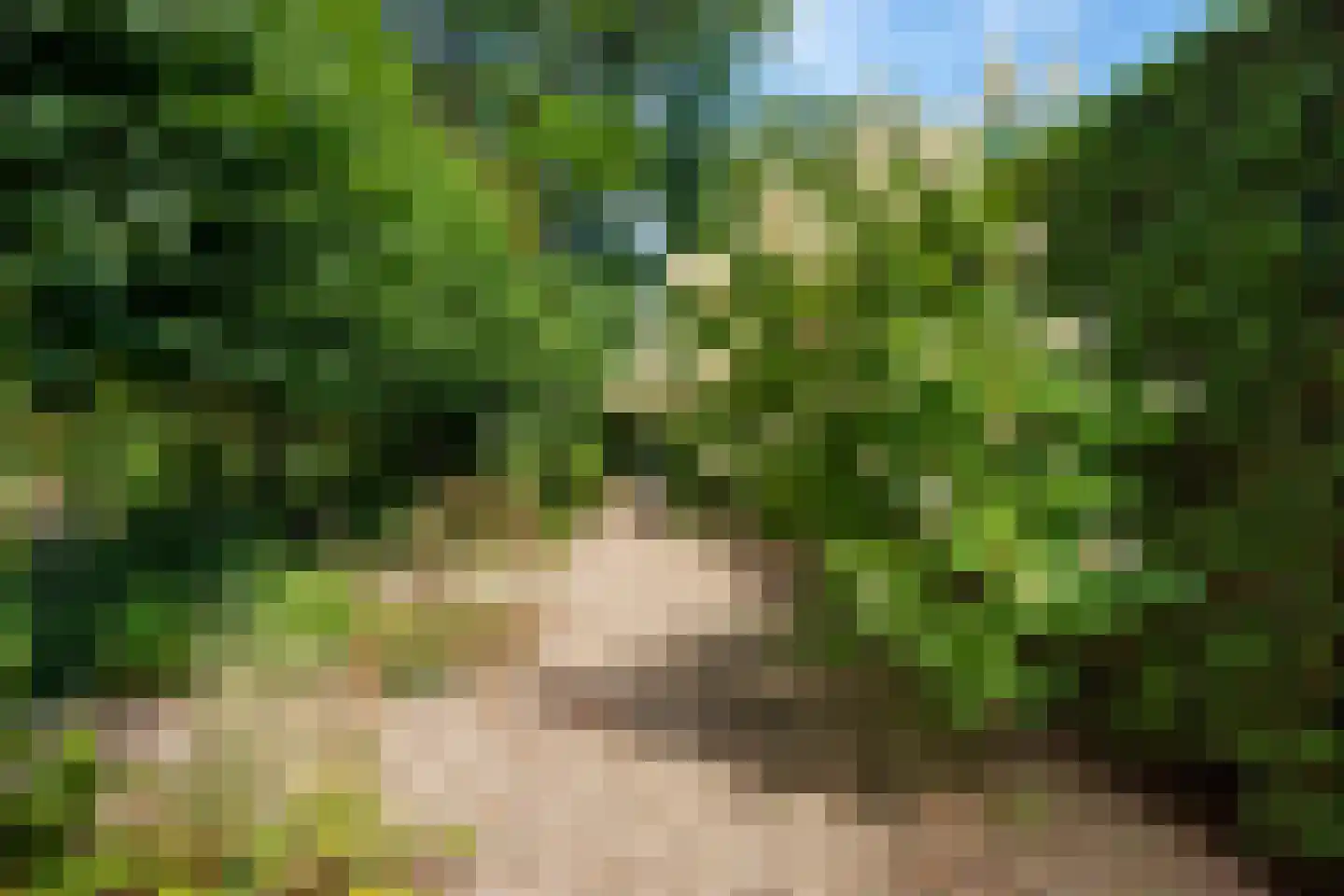 Zutphensestraatweg 17 Velp thumbnail 70