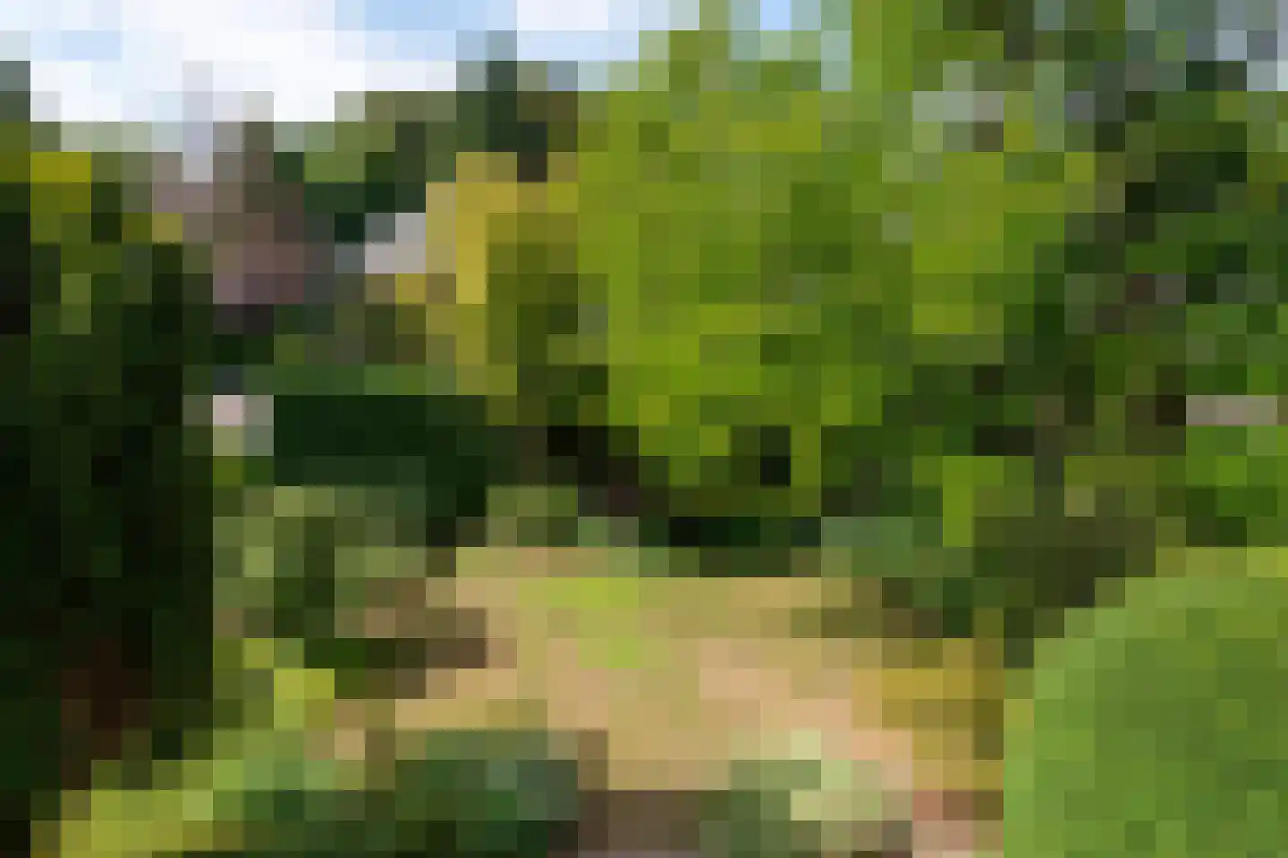 Zutphensestraatweg 17 Velp thumbnail 72