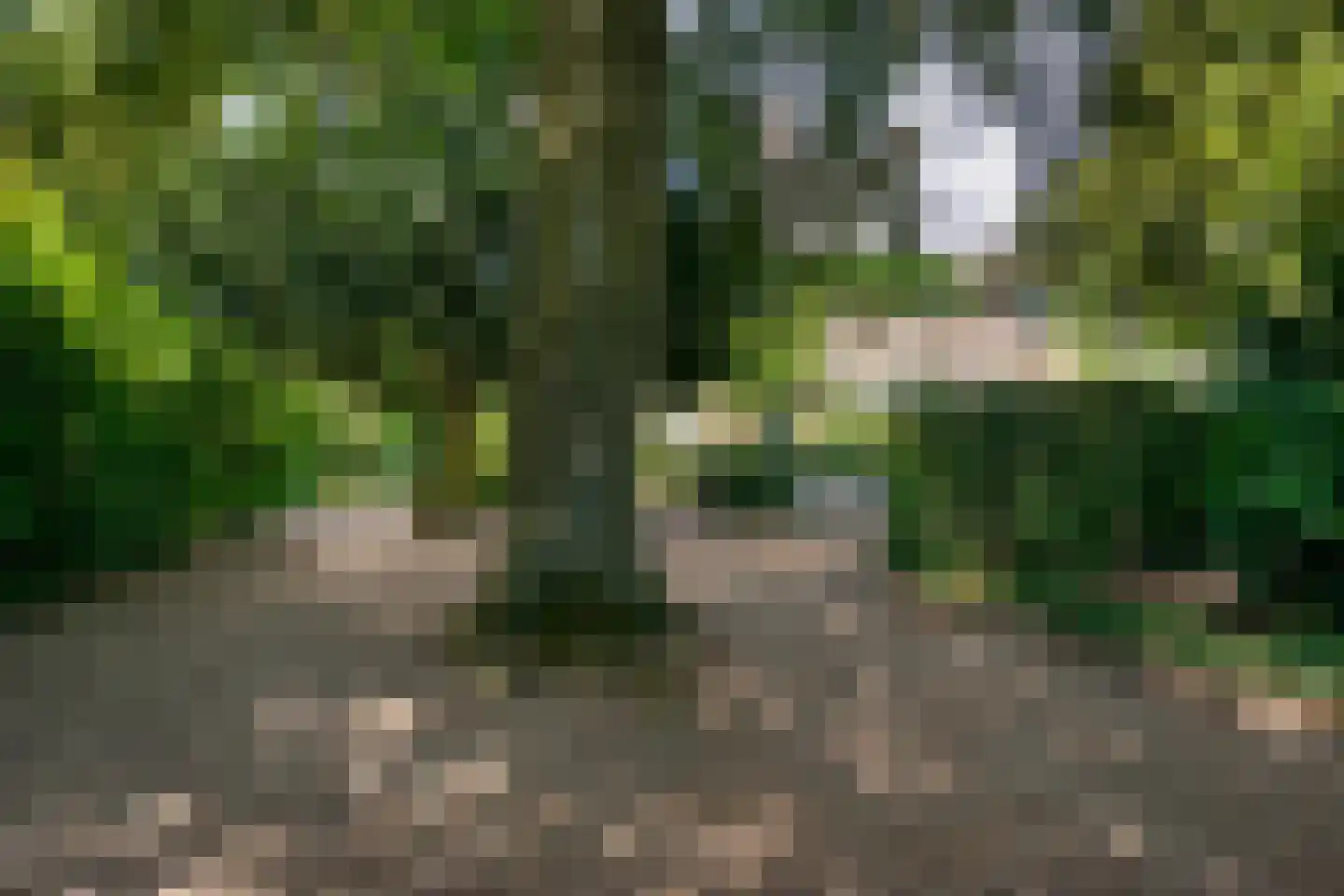Zutphensestraatweg 17 Velp thumbnail 73