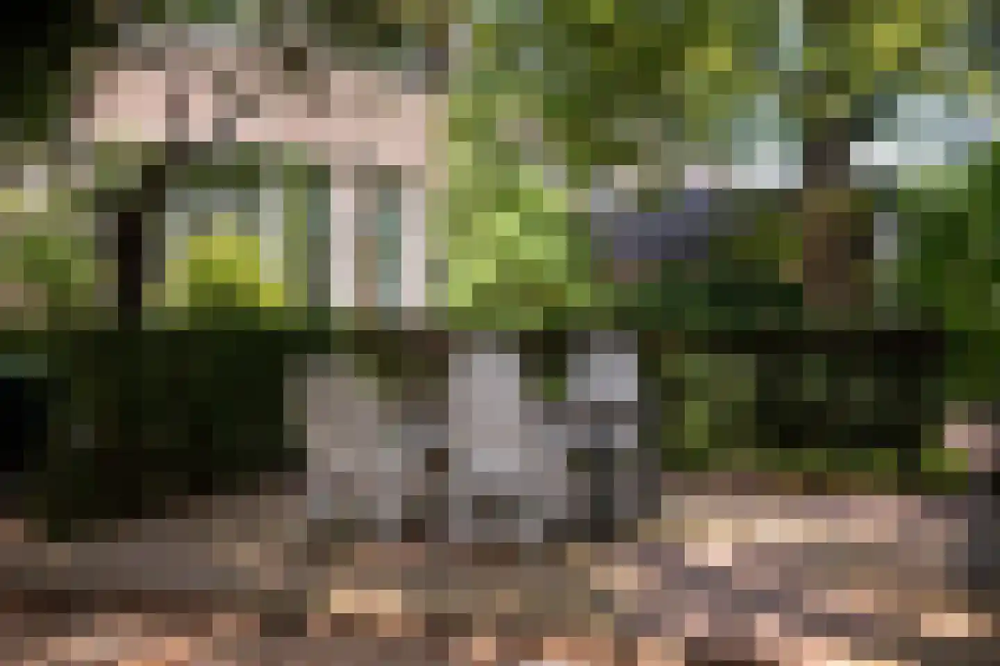 Zutphensestraatweg 17 Velp thumbnail 74