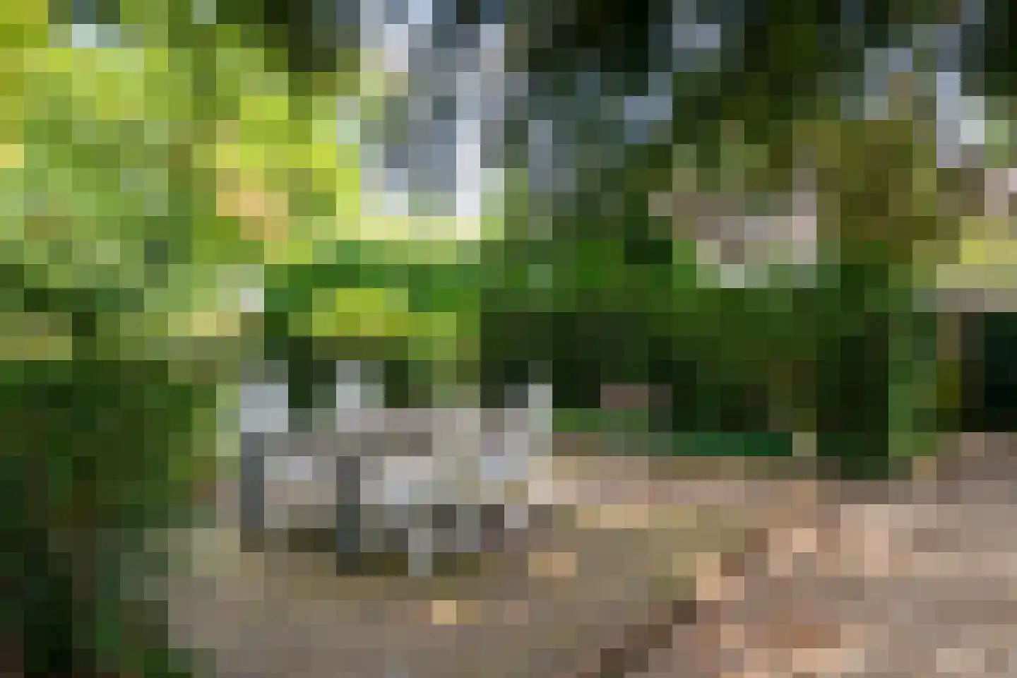 Zutphensestraatweg 17 Velp thumbnail 76