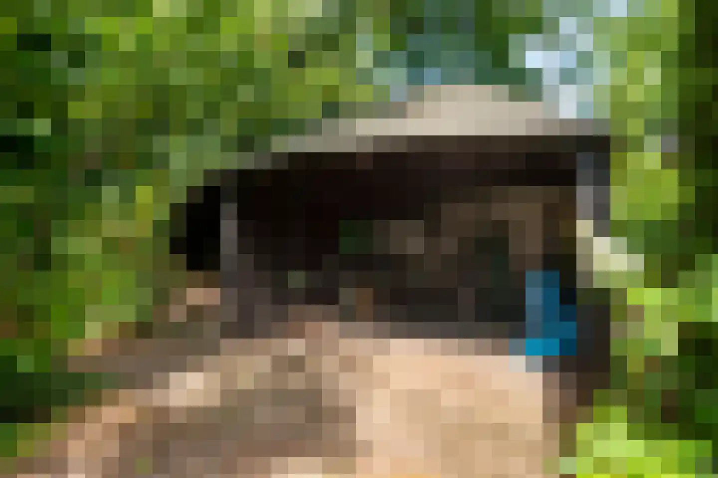 Zutphensestraatweg 17 Velp thumbnail 77