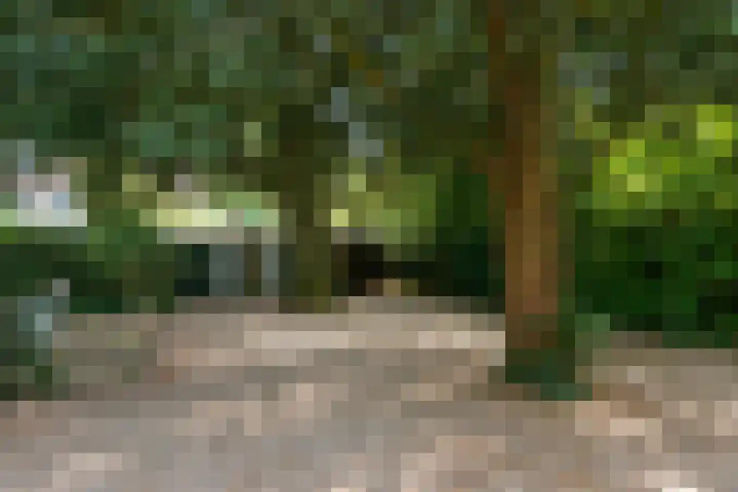 Zutphensestraatweg 17 Velp thumbnail 81