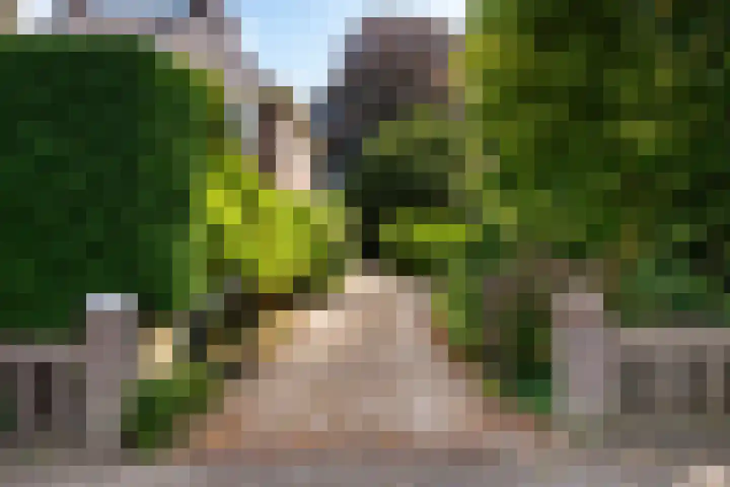 Zutphensestraatweg 17 Velp thumbnail 82