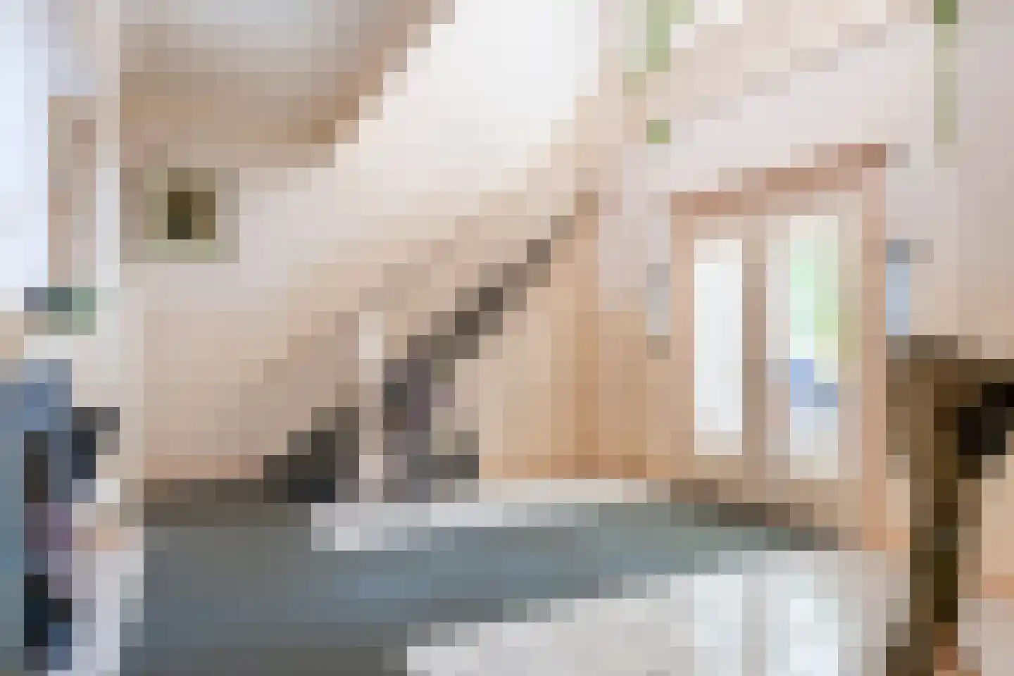 Zutphensestraatweg 17 Velp thumbnail 9
