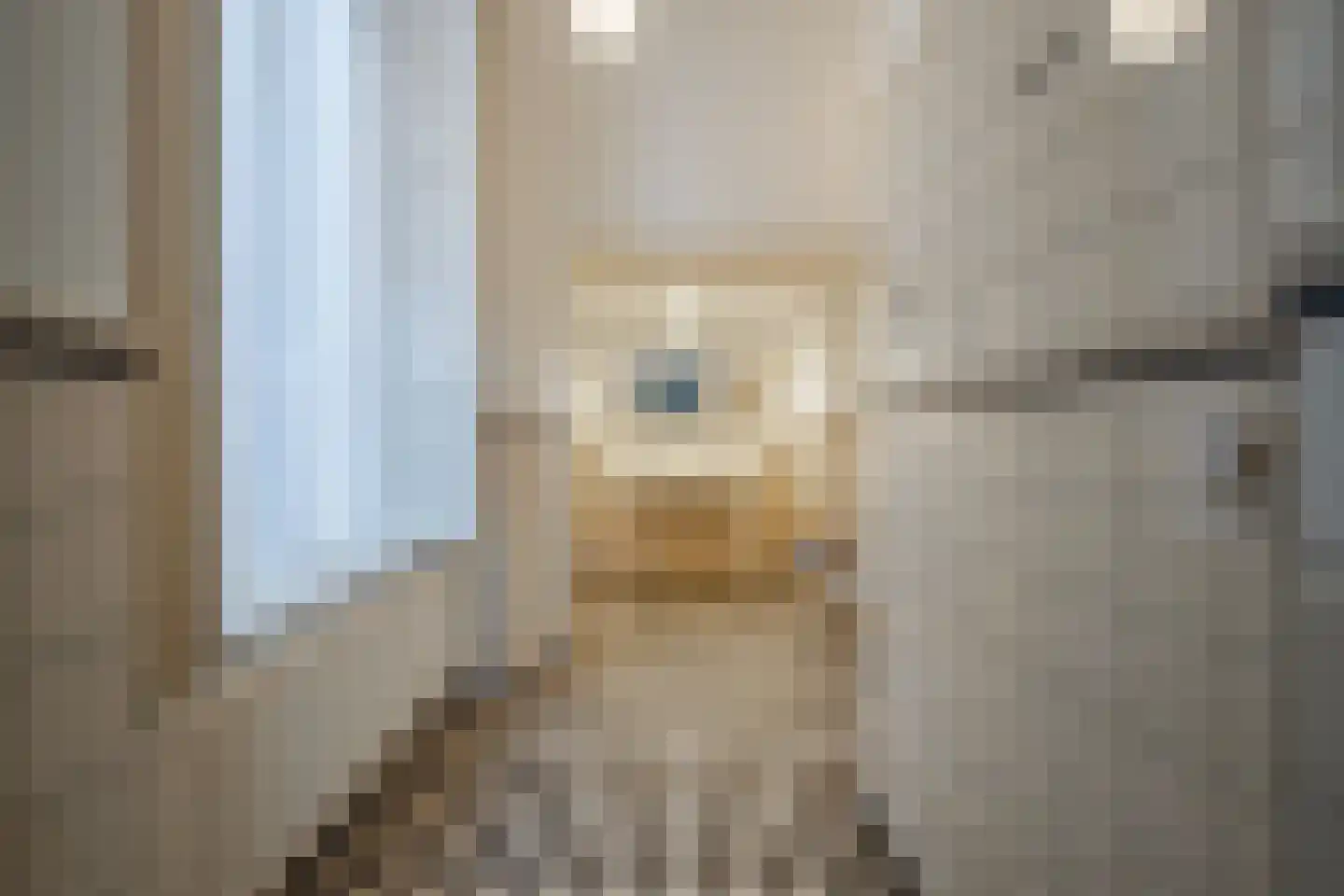 Zutphensestraatweg 28 Velp thumbnail 13
