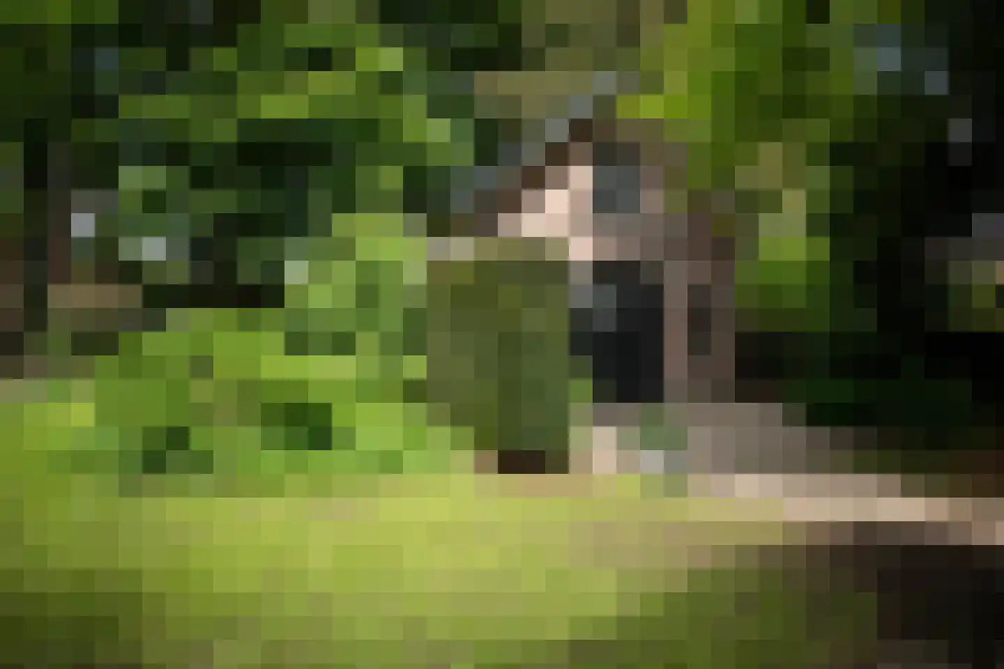 Zutphensestraatweg 28 Velp thumbnail 24