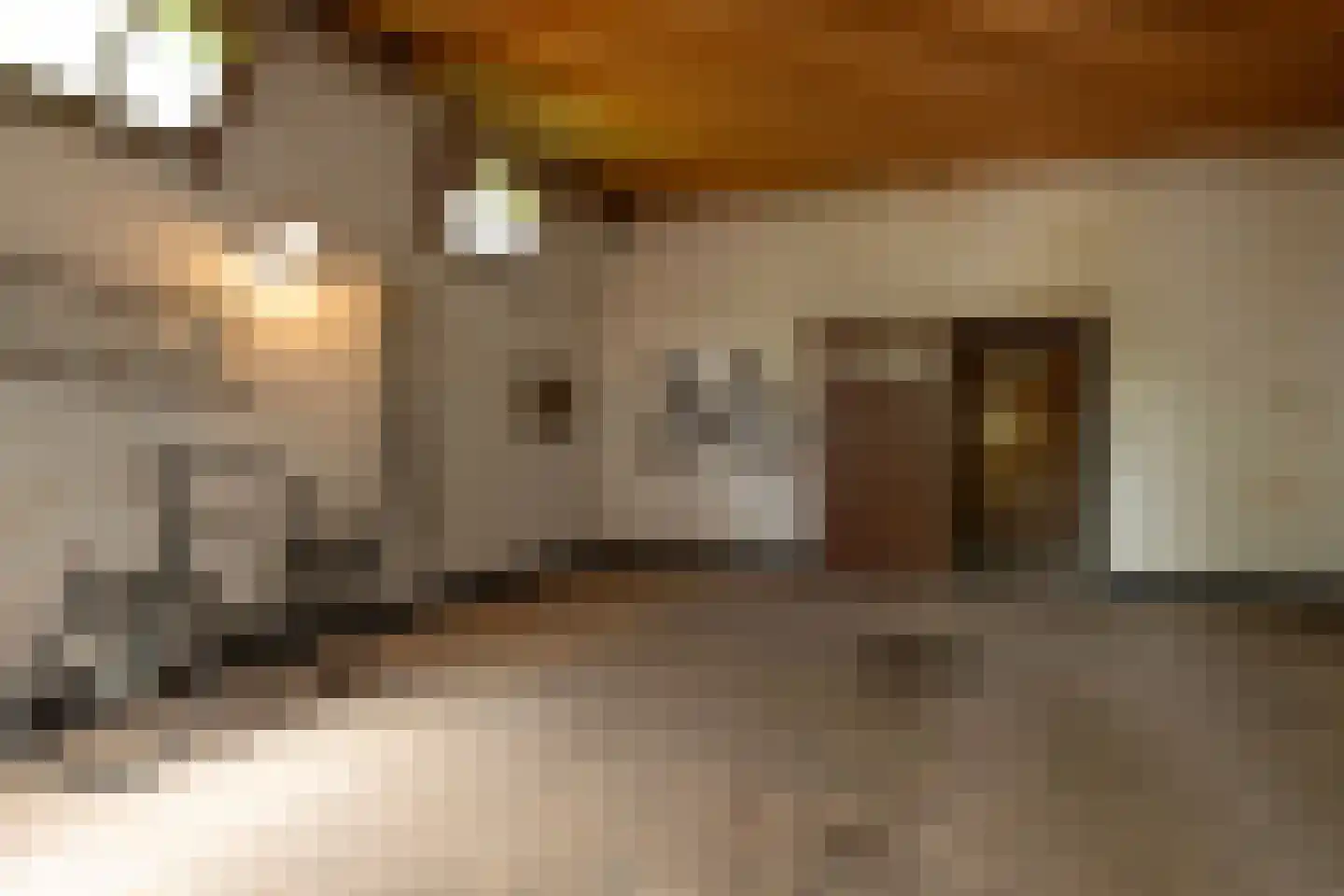Zutphensestraatweg 28 Velp thumbnail 26