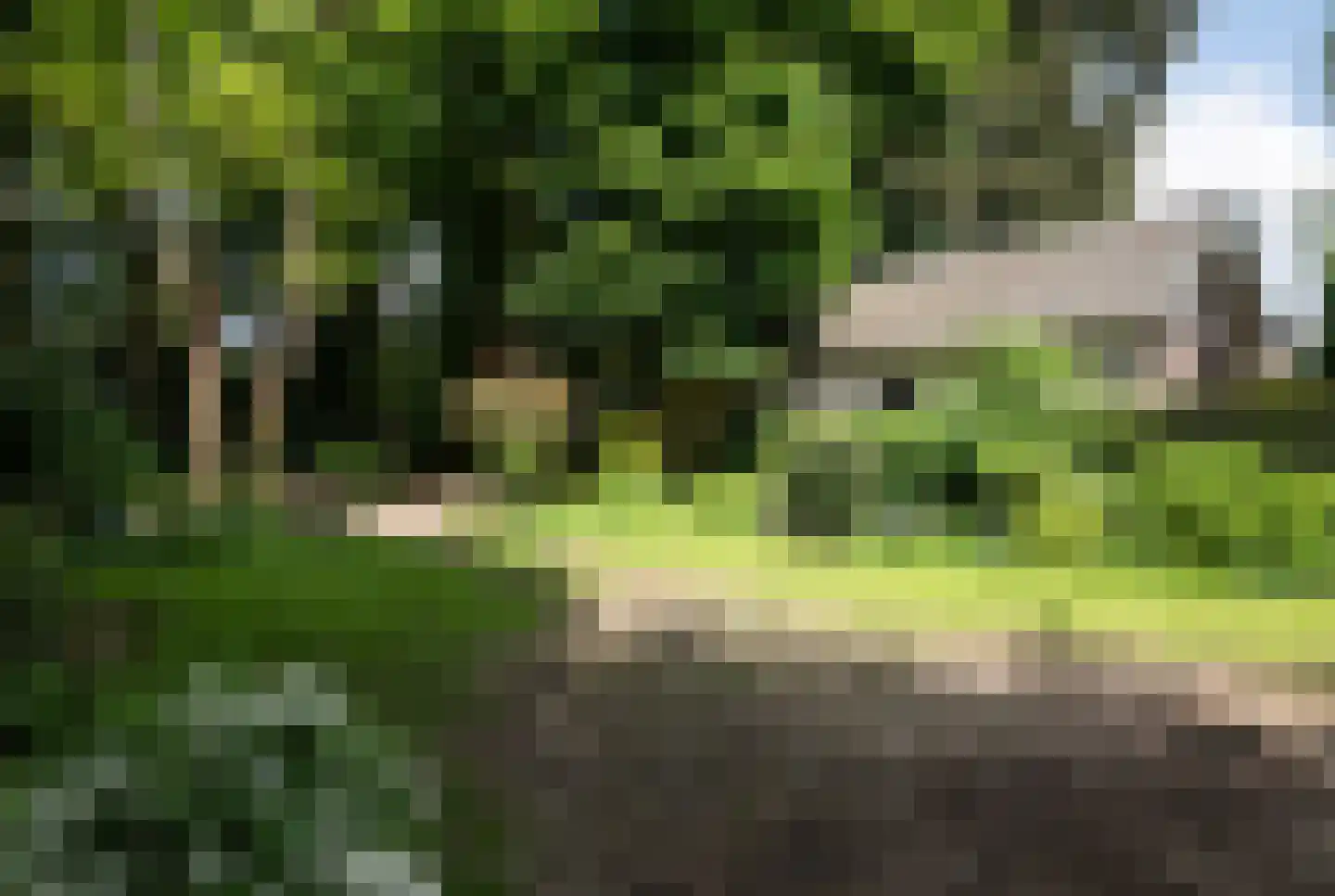 Zutphensestraatweg 28 Velp thumbnail 27