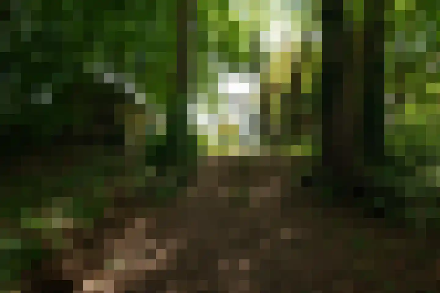 Zutphensestraatweg 28 Velp thumbnail 28