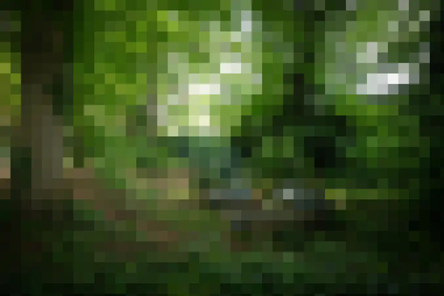 Zutphensestraatweg 28 Velp thumbnail 29