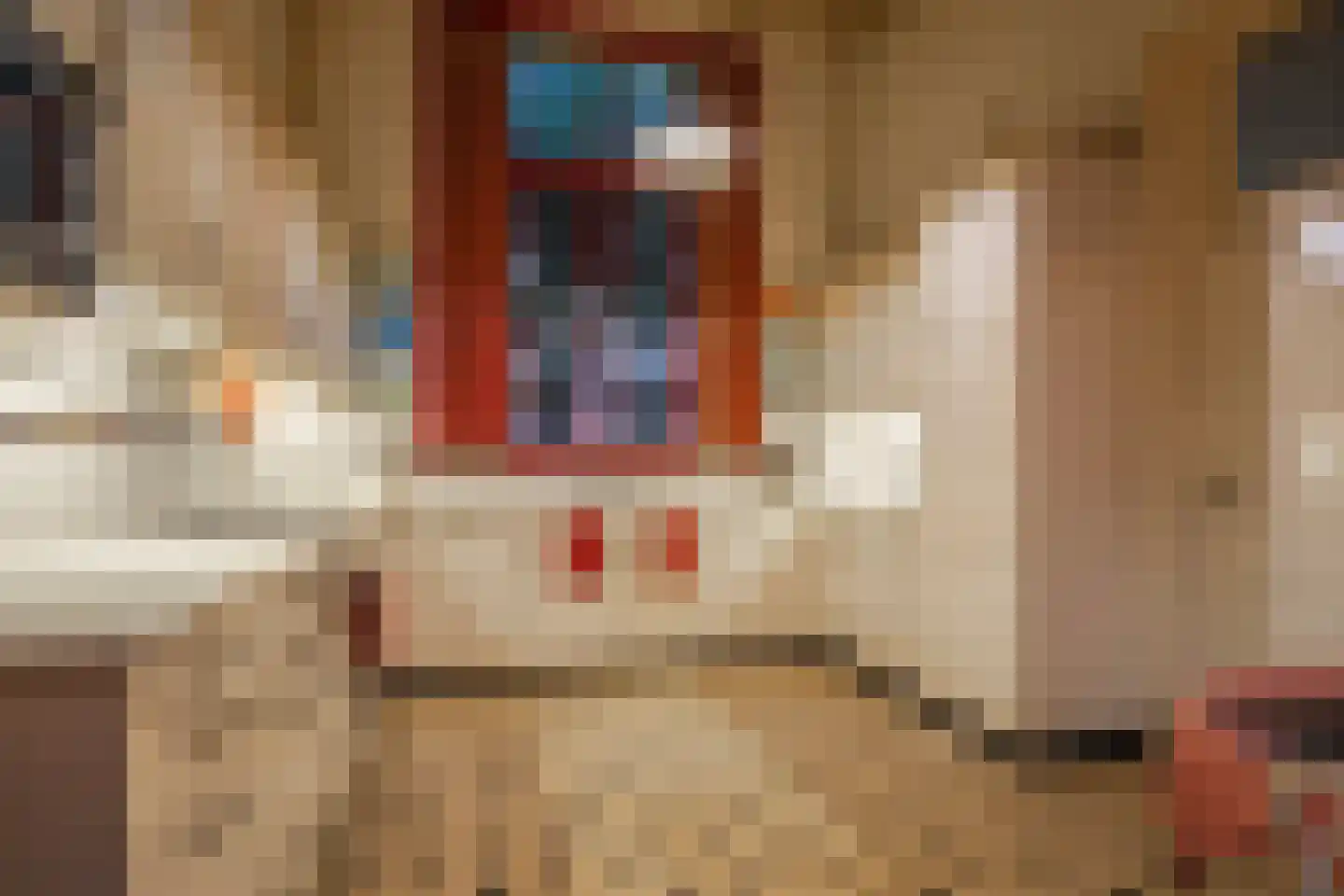 Zutphensestraatweg 28 Velp thumbnail 8