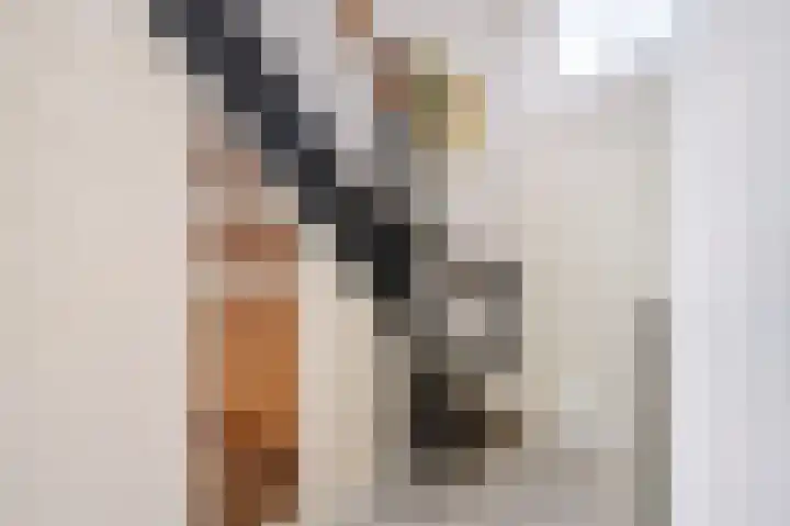 Zutphensestraatweg 36 Dieren thumbnail 16