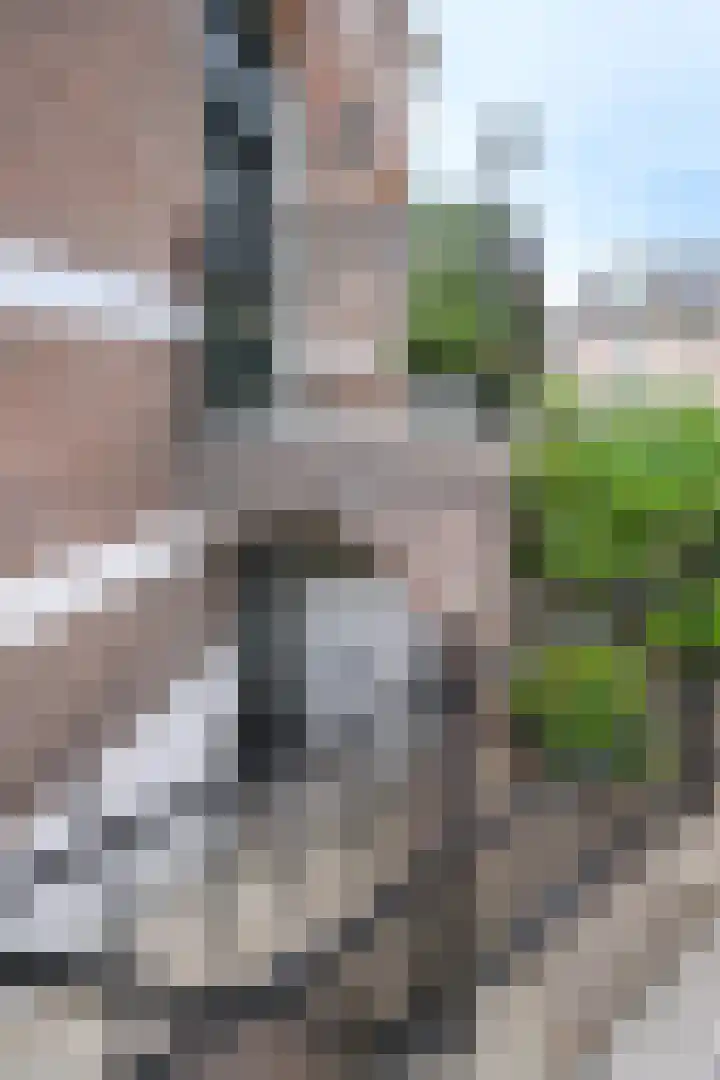 Zutphensestraatweg 36 Dieren thumbnail 31